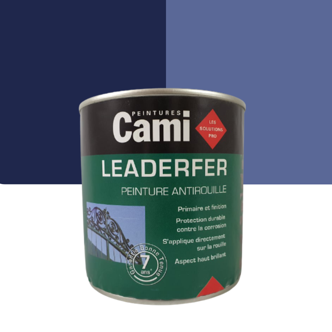 Peinture antirouille LEADERFER Cami 0.5L Cami 3341300007144 : Large  sélection de peinture & accessoire au meilleur prix.